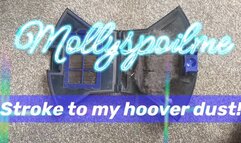 Wank to my hoover dust!