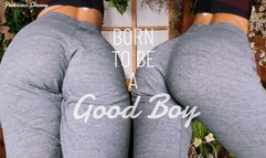 Born to be a Good Boy