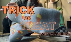 Trick or Treat Sniff My Socks