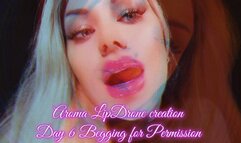 Aroma LipDrone creation - Day 6 Begging for Permission