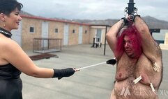 Whips, Clamps, and Femdom Domination: A Sadistic Symphony by Mistress Alexandra