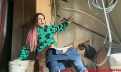 Tools trailer saved me! mwv