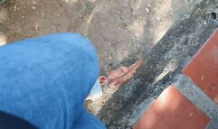 Pumping and acceleration of car pedals (1)