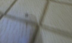 Toilet fetish -You are a Teenie and decide to take a refreshing swim in a giantess toilet POV , mind fuck, fantasy, female domination  1080