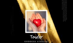 Tender (Former Exclusive)