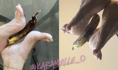 pick-a-POV ! banana crush