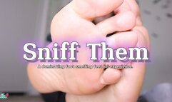 Sniff Them 4K