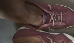 Van Ride Sneaker Reveal of My Veins