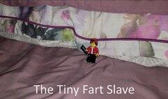 The Tiny Fart Slave