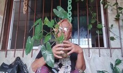 Scratching my feet and my body because of itching when cleaning ( cC1)