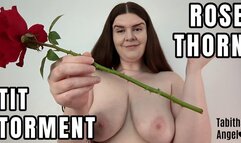 Rose Thorn Tit Torment MP4