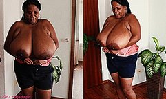 Maja meets Pam Part 236 - Pam's Giant Boobs in a Purple Top and Pink Satin Bra (Clip No 2761 - mp4 version)