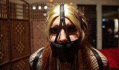 Box Tie Binder Sunday