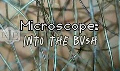 Microscope: Into the Bush