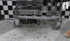 The Lion slumber for ever 2