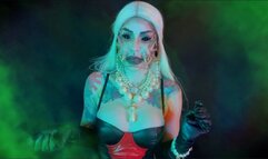 The Sacrificial Cradle: Hatching a New Generation of Spiderlings - GENDER TRANSFORMATION