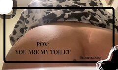 POV: You Are My Toilet