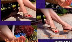 Flip flop well worn in summer