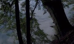 Elisabeth Moss Hot Kissing Scene