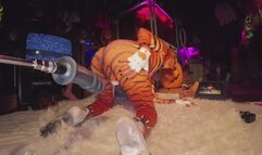 Butt Girl vs Big Toys Xxl Anal Dildo Tigra Cosplay