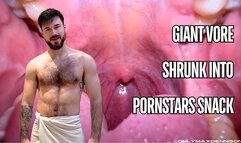 Giant vore Shrunk into Pornstars snack