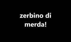 sei solo uno zerbino di mer- you re just a silly stupid carpet