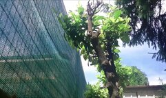 The Day the Screaming Started: A Portrait of a Crumbling Marriage 720HD