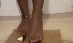 MsChocolatte the Empress Smushes Chocolate cake