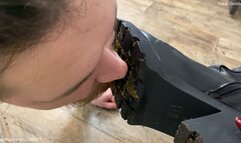 I'm feeding My slave with chewed chips mixed with the mud from My boots soles and spits