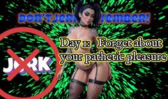 Don’tJerkNovember! Day 1: Forget about your pathetic pleasure