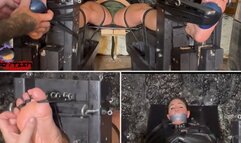 Tickle Therapy - Carissa Dumond