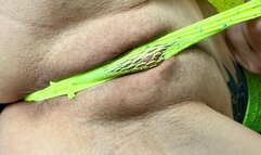 Anal masurbation vid with toys