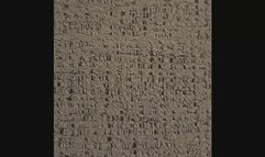 ASMR - Lola Gives The Best Head