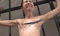 Sissi breast whip - 0611