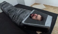 PAWG goddess face sitting control by SCARLET WHITE , MEJERA and DANIEL SANTIAGO cam by Dani full hd