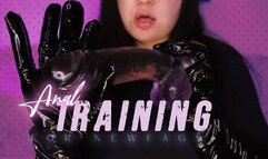 Anal Training For Newfags