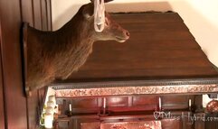 Chablied And Using Anal Beads - 1080