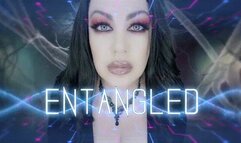 Entangled HD