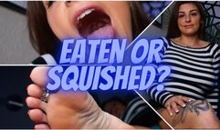 Eaten Or Squished?