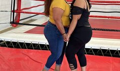 FANTASY VS CHACALA II