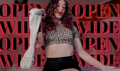 OPEN WIDE *Interactive*