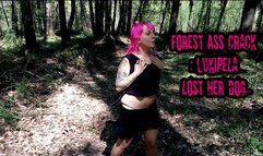 An old outdoor buttcrack in the forest