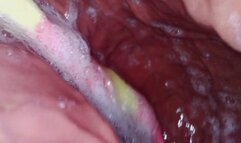 Gummy Worms Inside of Sloane