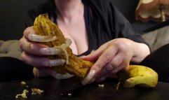 bana hj and scratching nov 2024