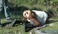 My favorite fantasies came true