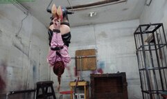 Willing experimental test subject pt3 (WMV HD 8000kbps)