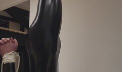 ShinyCat - Suspended catsuit struggle