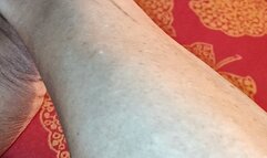 Tempest showing off on hotel couch