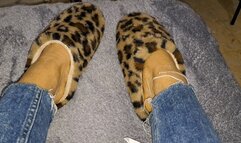 CANNOT RESIST TO THOSE LEOPARD PRINT SLIPPERS