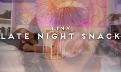 Tiny Late Night Snack